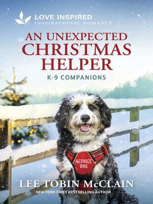 cover image of An Unexpected Christmas Helper